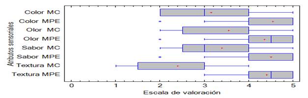 Interfaz de usuario gráfica, Aplicación, Word
Descripción generada automáticamente