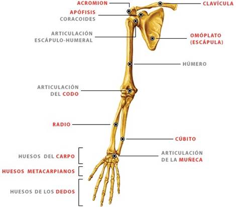 Diagrama
Descripción generada automáticamente
