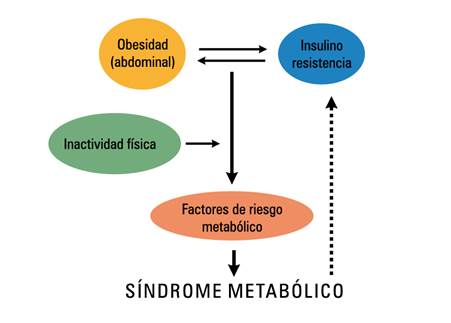 Diagrama
Descripción generada automáticamente