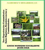 Saberes y desarrollo